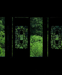 ǧ��̨�ݸ��������潭�ϣ�Ψ���ٺ���