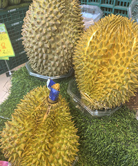 �������ʲô�����˸�С����