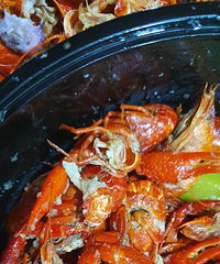 ��ˮ����Ϻ����˿�ж������ܳԣ�����з�綾������ɣ�Ϻ���޶�