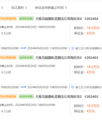 ����һƬ�����ĳ�54.5��Ԫ��ʹ��Ȩ10��