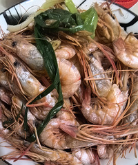 �������ʲô������ͷϺ�������