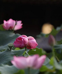 ��̨�ĳ��ģ�������������������Ȼ����