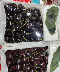 �۸���ն������̨������������򡭡�