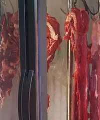 ����˵ţ��������ˣ�̨�ݵı�������