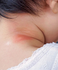 ����Ϊʲô��ҧ�������ҳ����պ�����ļ����ù���