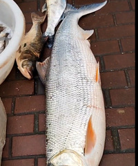 ��������һ�����㣬��1������