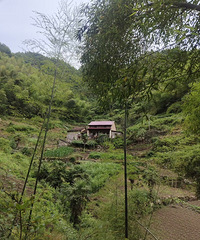 �²��������ſӴ�~��ɽ�ŵ���Խ