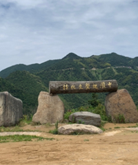 �㽭318�����д����ߣ�
