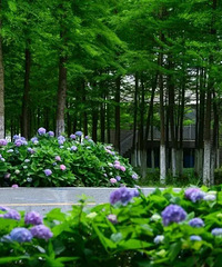 �������湥��ح���ա���֮ʱ����̨��Լ