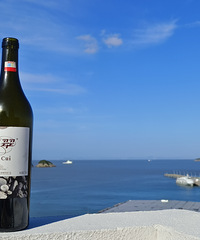 ����̨���ˣ��Ұ�������̨�ݴ󺣣�