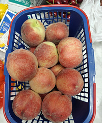 �Ź��ı��ش���ҡ�÷�ɲ˱����ǲ��Źǡ�˽����ڡ�