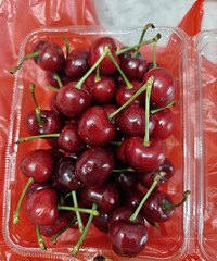 �Ź��ı��ش���ҡ�÷�ɲ˱����ǲ��Źǡ�˽����ڡ�