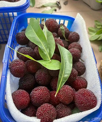 ���۸��᡿������÷������÷�����ˣ�8Ԫһ���