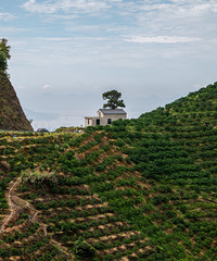 ӿȪ��ɽ�徰ɫ��ƽʱ��̫�ܿ����С��ο͡�