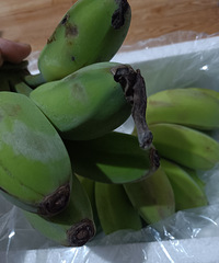 91�����������λ�������Ѱ��������Ƶ�Ů����