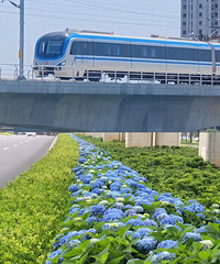 ���Ĵ���̻�����