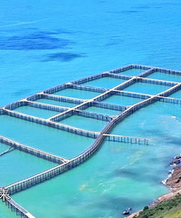 [����]�����񻷣���������52���ӣ�