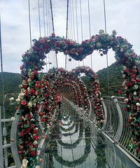 90���Ҷ��󣬸��徭Ӫ�����з��г�������ȱ���顣