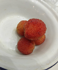 ΢��Ⱥ�����÷10Ԫһ�˵�Ǳ���С����