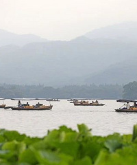 ���裡��л�35�棬�㽭�����ԡ����³�û