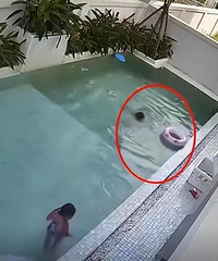 ��Ůͯ���Լұ���Ӿ���������ҳ���Сʱ��ŷ��֡���