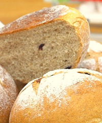 ��ķǳ�ϲ����������������������й���̿���ķ�ζ