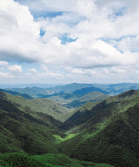 �������ٺ���Get�����ؼ�����ֱ���練��