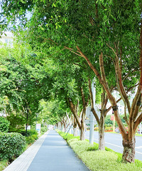 �������пռ䣬����������