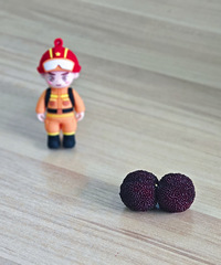 ������÷�����Ǽ�����