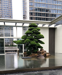 ̨�����ͩ���ųƳ����򼶵�����ҿ�����ֵ����