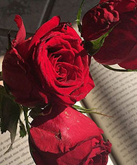 �����١�ѡ���ˡ�,�̻��������Լ�����ż��׼