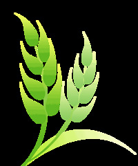 �ոգ�̨������Сѧ���ʱ�䶨�ˣ�