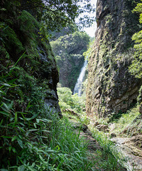 ӿȪ��ɽ��������ٲ����ɫ