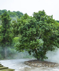 Ѱζ̨��حϲ�ϡ�÷���ң�̨����÷��ժ���ԡ�