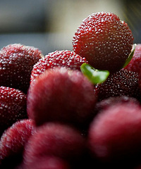 Ѱζ̨��حϲ�ϡ�÷���ң�̨����÷��ժ���ԡ�