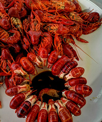 �������ʲô�������ǳ������� ������