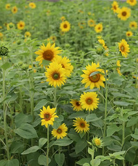 �½�����򿨵أ�������Ƭ���տ���������Ƭ