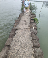 ���˵��ϴ��ڿ��ſ�������������