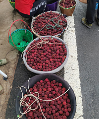 �ɾ���÷�����֣��۸�Ӹ߲���