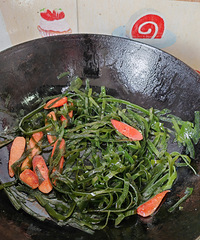 [�����ʲô]�����Ź���������