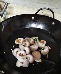 �������ʲô��55һ���è���ݹ���