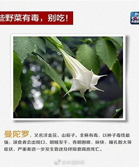 һ�����ȫ���У�2�˽�ICU���������ѣ�����綾