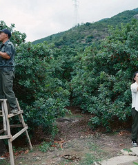 ����Ҳ̫���ˣ���̨�������ܷɻ��غ򣡱�����ζ������