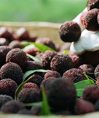 ����Ҳ̫���ˣ���̨�������ܷɻ��غ򣡱�����ζ������