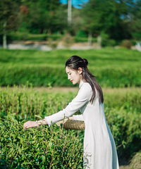 [����]�ٺ���Щ���Ĵ򿨵㣬̫̫̫��Ƭ����