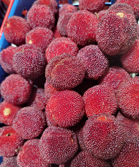 ����̨����÷���黹����