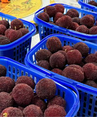 ÿ�ž���10Ԫ���ٺ�����������÷���