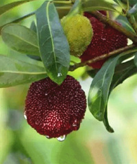 ÿ�ž���10Ԫ���ٺ�����������÷���