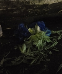 �ǹ�����ȥ�ˣ���ǰ���������£����ڶ�������ʧ��