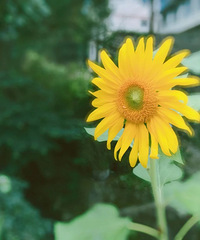 ����4ʱ50�֣�̨����ʽ����